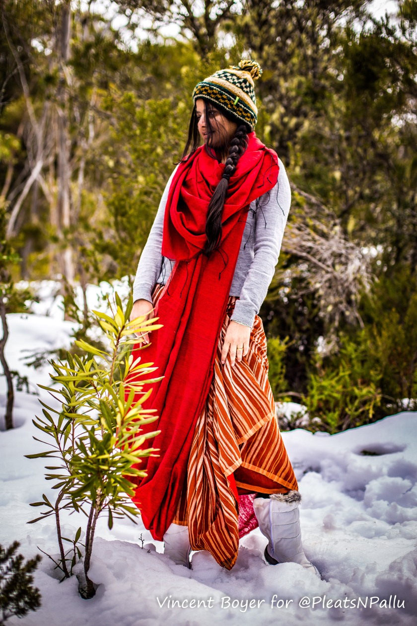 winter saree in snow